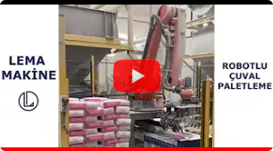 Bag Palletizing 1